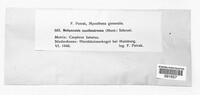 Image Associated With the Occurence